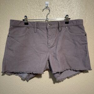 Carve Designs Corduroy Shorts Size‎ 12
